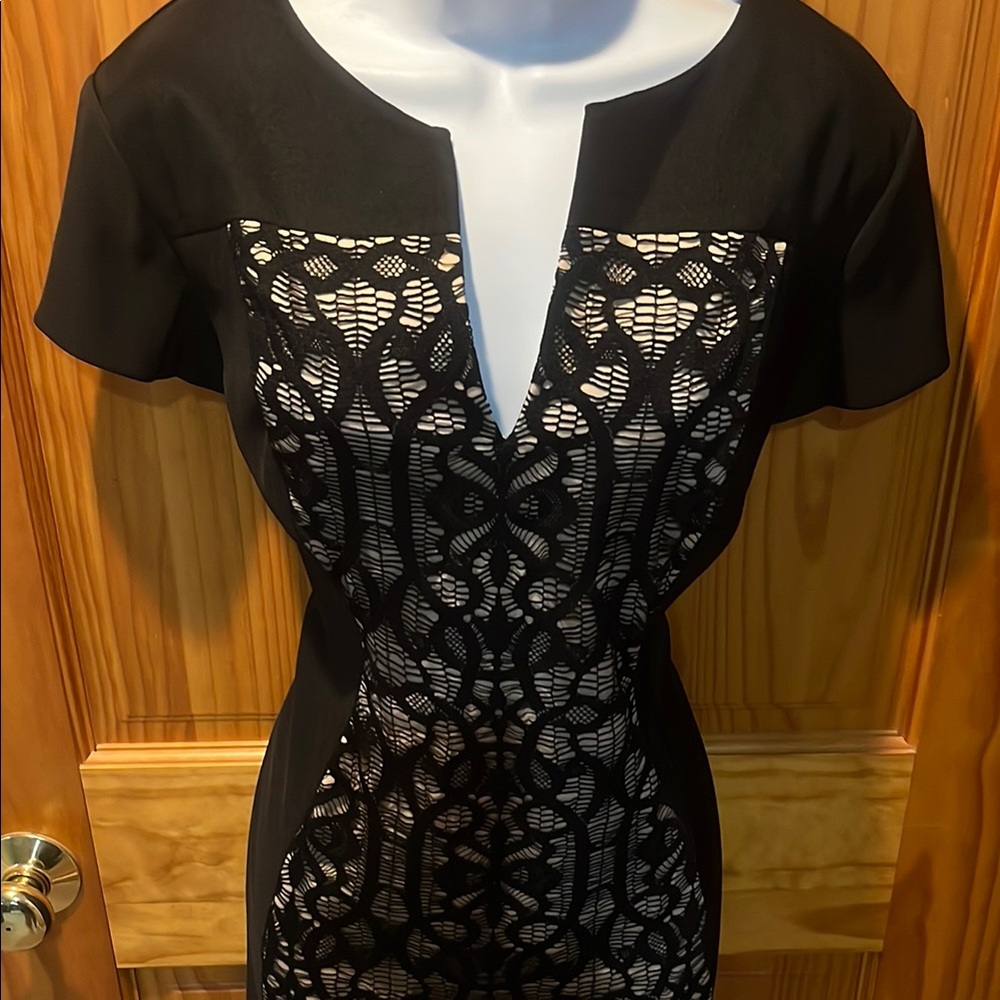 Collection Dressbarn Black & Tan Lace Front Dress - Picture 2 of 7